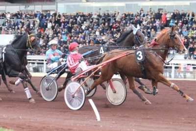 Course hippiques trot à Lyon Carre de Soie